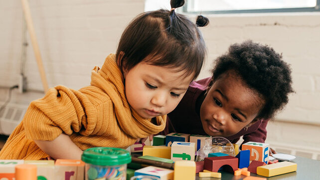 Two toddlers playing together.